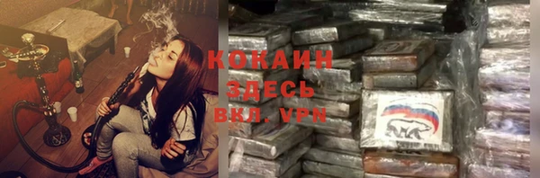 трава Белокуриха