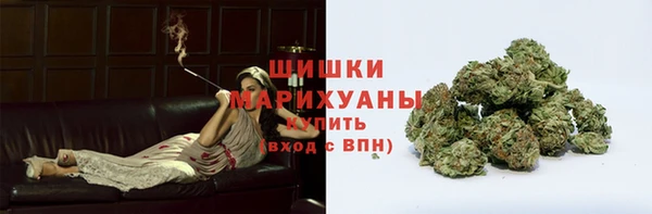 трава Белокуриха