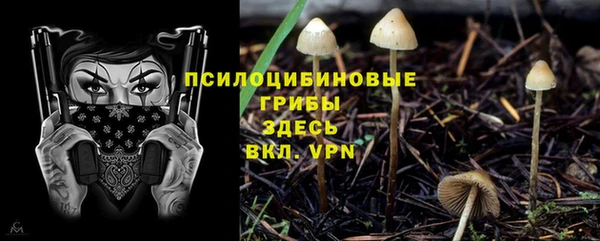 mdpv Белоозёрский